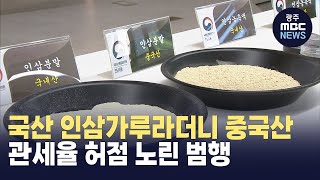 값싼 중국 인삼 가루를 국내산으로 원산지 거짓표시 업체들 입건 (뉴스데스크 2024.06.12 광주MBC)