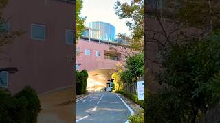 「東京造形大学」周辺を歩く。緑が豊富…⑤（東京都 八王子市 宇津貫町） #shorts