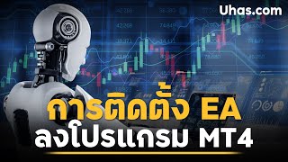 การติดตั้ง EA บนโปรแกรม MT4 ง่ายนิดเดียว