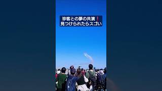 【見つけられたらスゴい❗珍客との夢の共演✈️ブルーインパルス】#ショート #shorts #ブルーインパルス #飛行機 #航空自衛隊