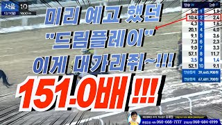 [ 예고했던 151.0배 \