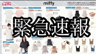 緊急速報！しまむら大型コラボミッフィー新商品情報来ました！