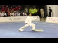 Optional taijiquan. Chinese athlete  at the World Taijiquan Championship.