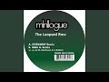 The Leopard (Extrawelt Remix)