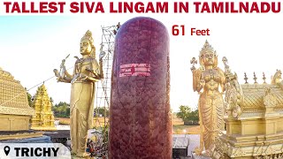 Trichy 61 Feet Mahalingam Naganatha Swamy Koothappar Thiruverumbur #Trichy360