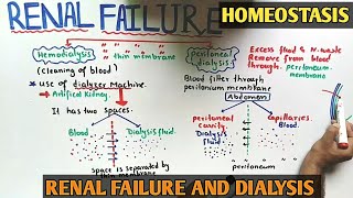 Hemodialysis and Peritoneal dialysis | Kidney Transplant | Class 12 Biology