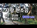 cover 황금길 사랑 한소끔 원곡 김나현 영상가사