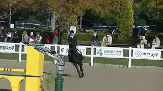 全日本学生馬術大会 総合馬術競技 障害飛越競技 35番 小代智貴選手×柏艶号