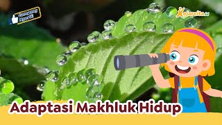 Adaptasi Makhluk Hidup | Contoh Soal Adaptasi Makhluk Hidup | IPAS SD