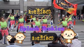 Splash Monkies　２回目　小田原えっさホイおどり 2023　観光交流センター前広場会場　2023年9月16日（土）