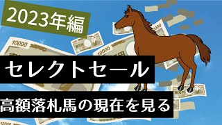 セレクトセール高額落札馬の現在を見る　2023年編