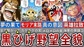 史上最悪の野望！黒ひげの奇行が全て繋がる真の目的【ONE PIECE】※ネタバレ注意