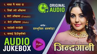Nepali Movie JINDAGANI Full Audio Jukebox (HD) || Udit Narayan Jha || Rajesh, Karishma, Dilip