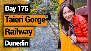 🚂 Taieri Gorge Train Journey with Dunedin Railways  –  New Zealand's Biggest Gap Year