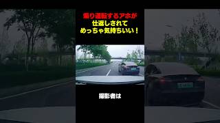 煽り運転に仕返し!!めちゃくちゃアホすぎて大爆笑#shortvideo #youtubeshorts #shorts