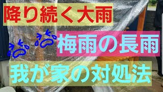 【夫婦多肉】梅雨の降り続く大雨 我が家の対処法