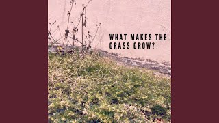 What Makes The Grass Grow?