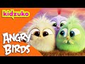 🐣 The Story of the Hatchlings and the Lost Baby Eggs 🪺 | Angry Birds | Compilation | @Kidzuko