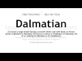 pronunciation of dalmatian definition of dalmatian