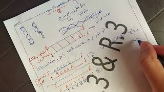 تضاعف ال DNA الجزء الاول