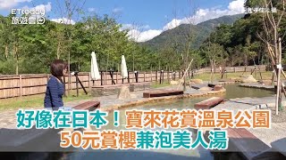 好像在日本！寶來花賞溫泉公園　50元賞櫻兼泡美人湯