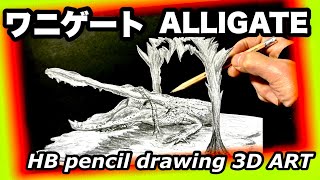 【ワニゲート】HB鉛筆画錯視アート　HB pencil drawing 3D ART