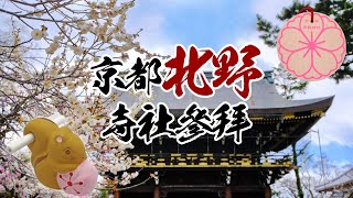 🌸詳盡介紹🌸大將軍八神社｜北野天滿宮｜平野神社～京都北野寺社參拜 #神社 #寺院 #日本旅行 #京都 #御朱印 #御守 #櫻花 #牛 #松鼠 #北極星 #百鬼夜行 #柚子