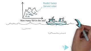 Fisheries Stock Assessments and Population Modeling