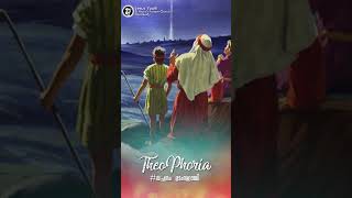 THEOPHORIA | #വചനം മാംസമായി | Jesus Youth St.Mary's Forane Chruch Chalakudy | Day 22