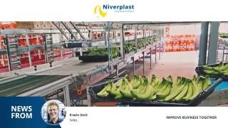 NIVERPLAST I BANANA PACKAGING HD