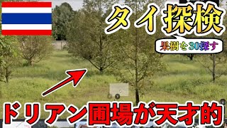 【セカタビ#4】大熱帯果樹国「タイ」のドリアン栽培技術が天才的だった.....【世界を探検して果樹を探そう！】