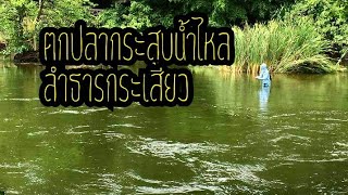 Stream Fishing Hampala...ตกปลากระสูบน้ำไหล \