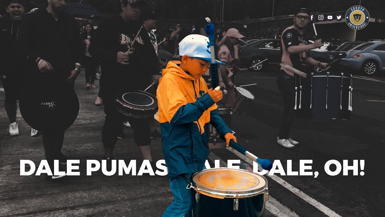 Dale Pumas, Dale, Dale Oh! - YouTube