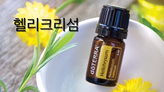 [헬리크리섬]  몸과 마음의 상처 치유에 도움되는 영원이란 뜻을 가진 헬리크리섬(The Oil for Pain)