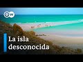 Socotra, la isla del tesoro verde entre Yemen y Somalia | DW Documental