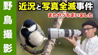 【野鳥撮影】近況と手ブレ補正OFFに気づかず写真全滅事件２【α7RⅣ＋SEL200600G】 #4K