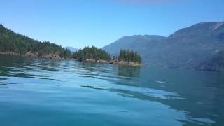 Harrison lake