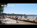 E. coli contamination closes 9 Vancouver beaches for swimming