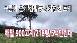 구름도 쉬어가는 자연인 토지/적은돈으로 218평/5백만원대/경치는 너무 좋아요