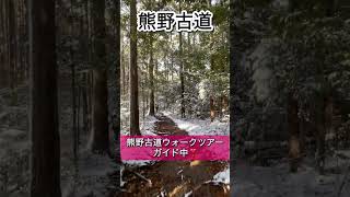 見れたら超幸運※1万人に1人も見れません！雪の熊野古道と高原熊野神社#パワースポット #遠隔参拝