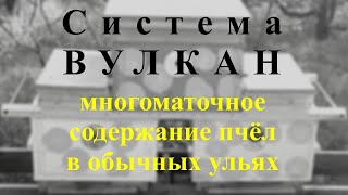 Многоматочное содержание пчёл: система Вулкан