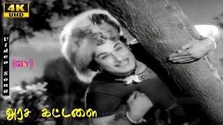 Arasa Kattalai Full Songs | M.G.R | B.Saroja Devi | K.V.Mahadevan | Tamil Old Songs