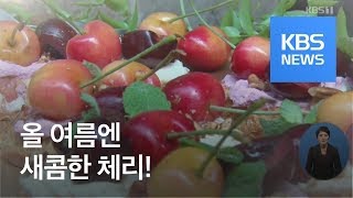 [정보충전] 빨간 맛의 유혹 ‘체리’…맛있고 건강하게 먹는 법 / KBS뉴스(News)