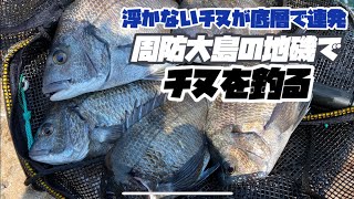 浮かないチヌが底層で連発　周防大島の地磯でチヌを釣る　黒鯛道場 vol.9  2022年5月