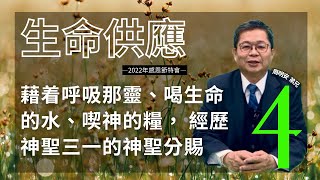 【晨興聖言-生命供應系列】《感恩節特會 》第四篇 藉着呼吸那靈、喝生命的水、喫神的糧， 經歷神聖三一的神聖分賜