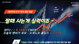 미국 주식 TQQQ/SOXL/BULZ/CWEB/LABU ETF 장기 투자