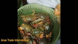 কাঁকড়া বাজার ONLINE CRAB MARKET ANAS TRADE INTERNATIONAL, DHAKA BANGLADESH আনাস ট্রেড ইন্টারন্যাশনাল