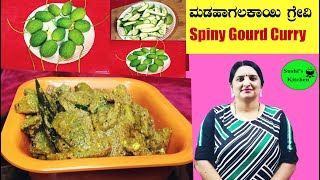 ಮಡಹಾಗಲಕಾಯಿ ಗ್ರೇವಿ |ಪಾವಕ್ಕೆ ಕರಿ|ಕಾಡುಹಾಗಲ ಸಾರು|spiny gourd madahagala kayi  curry in Kannada 2023