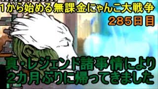 ゆっくり実況【１から始める無課金にゃんこ大戦争】２８５日目無法地帯のオキテ制覇２カ月ぶりの新レジェンド