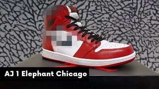 《Custom》AIR JORDAN 1 Elephant Chicago Lecture